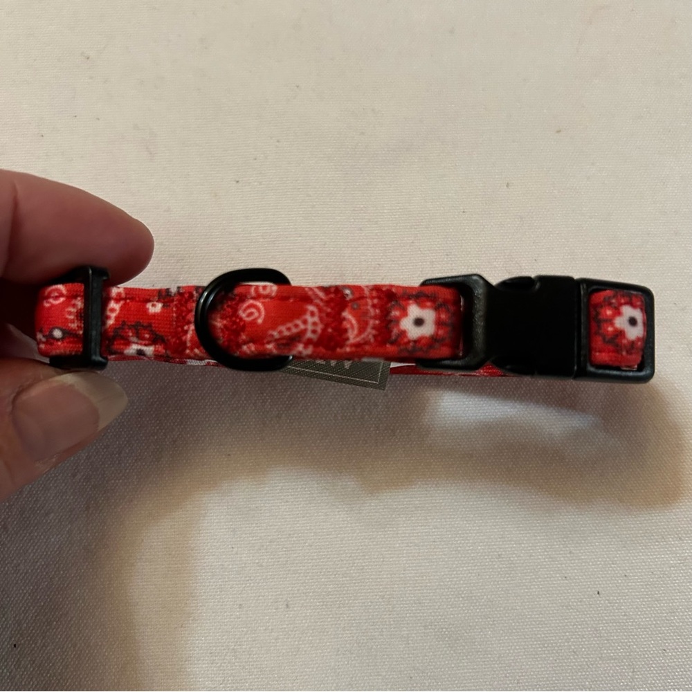 XS Red Dog Collar